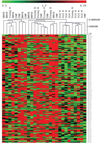 Figure 3. Hierarchical clustering heat map for plasma ex-miRNA. Hierarchical clustering using normalised Cq number for plasma ex-miRNA expression (green = higher expression, red = lower expression) comparing young normal dogs (Young N), old normal dogs (Old N), dogs with MMVD and dogs with MMVD-CHF (CHF).
