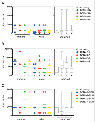 Figure 2. Pre-existing immunity at the time of vaccination does not result in markedly increased titers. Samples tested in the ELISAs described in Figure 1 were grouped according to immune status at the time of vaccination. DENV-immune (2) and DENV–naïve individuals (7) are shown as individual symbols for A) UV-DENV ELSIA, B) E protein ELISA, and C) EDIII ELISA. The pre-immune status was unknown (undefined) for 14 samples, represented in gray bar graphs for each ELISA readout. Box and whisker plots indicate the min to max values.