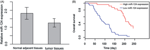 Figure 1. (A) Relative expression of miR-124 in tumour tissues and normal adjacent tissues of 112 HCC patients. (B) Overall survival rate of high miR-124 expression patients and low miR-124 expression patients. Kaplan–Meier analysis was used for the statistical assessment.