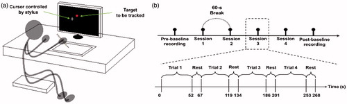 Figure 1. (a) Illustration of the continuous tracking task. (b) The schematic representation of the experiment on each day.