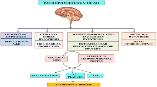 Figure 2. Hypothesis for the pathophysiology of Alzheimer’s disease (Adapted from Kumar Thakur et al. Citation2018).