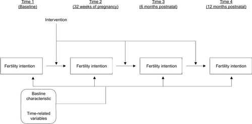 Figure 1 Hypothesized autoregressive model for fertility intention continuity.