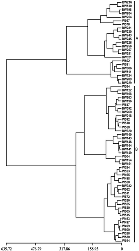 FIGURE 4. Cluster dendrogram showing all samples used for analysis (66). Letters indicated on the right refer to the different assemblages: (A) Difflugiella crenulata assemblage; (B) Trinema assemblage. Lower axis shows the linkage distance