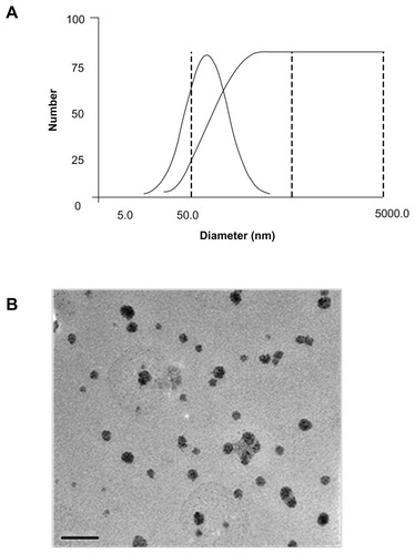 Figure 7 Particle size distribution and morphology. (A) The particle size distribution of the CPEPS/pTGF-β1 nanoparticles with a weight ratio of 20:1; (B) transmission electron microscopy image of the CPEPS/pTGF-β1 nanoparticles with a weight ratio of 20:1.Abbreviations: CPEPS, cationized Pleurotus eryngii polysaccharide; pTGF-β1, plasmid encoding transforming growth factor beta-1.
