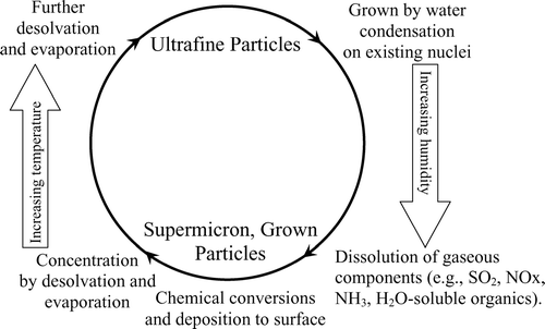 FIG. 8 Processes of particle growth and desolvation/evaporation occurring in the concentrator.