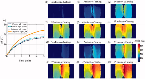 Figure 7. Transmission ultrasound imaging of the IO NPs hyperthermia augmentation phenomenon. (a) The temperature rise measured at the sensors during the heating-imaging experiment. The dash-dot (blue) and dotted (cyan) curves represent the temperature rise at the left and right test tubes as both contained water. The dashed (grey) and solid (orange) curves represent the temperature rise as the left and right test tubes were injected with the same volume of water and IO NPs, respectively. (b)–(g) Acoustic projection ΔTOF images obtained when the tubes contained water only. (h)–(m). Repeating the process after system cooling and injection of IO NPs to the right test tube (yielding a 404 µg/ml concentration), and the same volume of water to the left tube as a control. Notice the IO enhanced visualisation, due to its influence on the SOS in the baseline image (h). As MW irradiation occurred, the IO containing tube heated faster, manifested as ΔTOF increase.