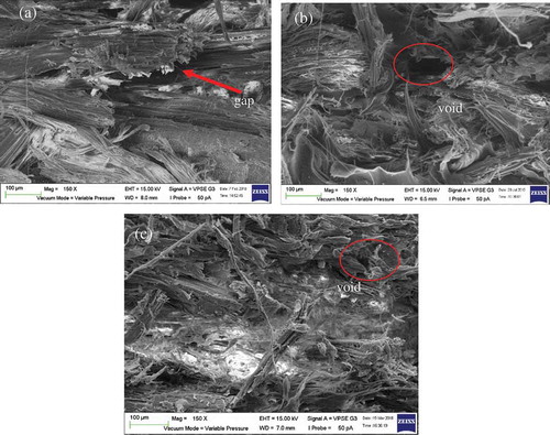 Figure 2. SEM micrographs of the wood-plastic composite at 150x magnification. (a) PP-WF at 50% plastic content (b) HDPE-WF at 50% plastic content (c) LDPE-WF at 50% plastic content.