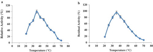 Figure 4. (a) Effect of temperature on the activity profile for purified LOX from sesame seed. (b) Thermal stability of purified sesame lipoxygenase.