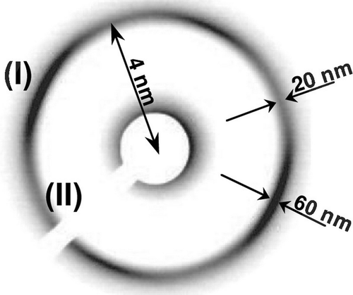 Experimental X-ray scattering patterns of BPSm2 monodomains. Parts of the ring with higher intensity (labelled (I)), where the smectic order is enhanced, correspond to the Bragg peaks, and parts with lower intensity are marked (II). The layer spacing and the correlation lengths of the smectic order are also indicated [Citation Citation14, 19].