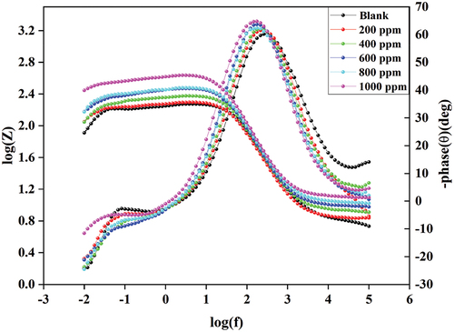 Figure 5. Bode plot.