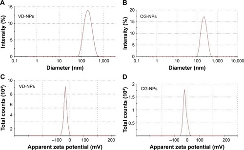 Figure 1 Physicochemical characterization of nanoparticles.Notes: (A) Particle size distributions of VD-NPs; (B) CG-NPs; (C) zeta potential analysis showing surface charge distributions of VD-NPs; and (D) CG-NPs using dynamic light scattering analysis by Zetasizer.Abbreviations: CG-NPs, CG-1521-loaded starch NPs; VD-NPs, void nanoparticles.