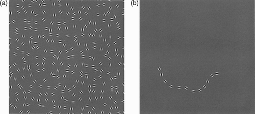 Figure 3. A snake (left) and a snake in the grass (right). From Field, Hayes, and Hess Citation(1993). “In this example each successive element differs in orientation by ± 30 deg and for this difference in orientation the string of aligned elements is easily detected.” We detect the “snake” but it is not a familiar, meaningful, named thing.