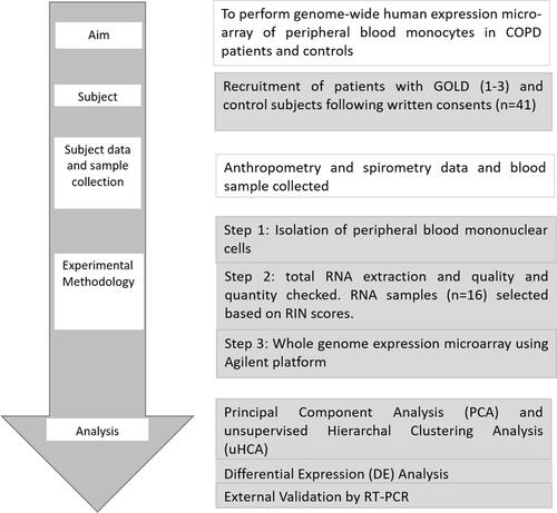 Figure 2 Whole genome human transcriptomics of peripheral blood monocytes isolated from Never smokers, Control smokers, COPD smokers and COPD Ex-smokers was performed. COPD Patients (GOLD 1–3) were recruited from hospital OPD and controls from hospital staff following written consent. Anthropometric parameters were collected, spirometry was performed followed by blood sample collection. Peripheral blood mononuclear cells (PBMCs) were isolated by using Histopaque followed by isolation of monocytes using CD14 microbeads. Total RNA was extracted from CD14+ monocytes followed by quality check and quantification of RNA using Bioanalyzer and Nanodrop. Whole genome expression microarray was performed using Agilent one colour (Cy3) microarray protocol. Out of 41 samples, 25 samples did not pass the quality check and were not used further for microarray experiment. Samples (n = 16) with RIN score ≥8 were used further. Alongside exploratory analyses, viz. PCA and unsupervised HCA, differential display from the expression microarray data between different subgroups were done. Orthogonal validation of expression for two genes (TNFRSF1A and CASP9) was done using different samples (n = 5) by RT-PCR according to MIQE guidelines.