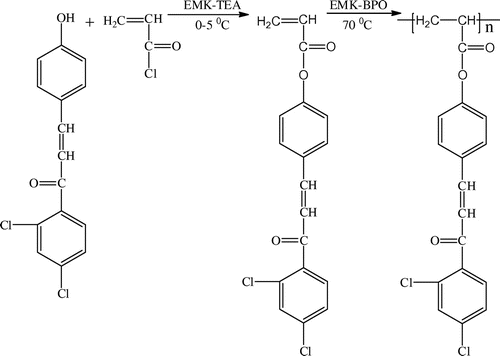 Scheme 2. Synthesis of DCP and poly(DCP).