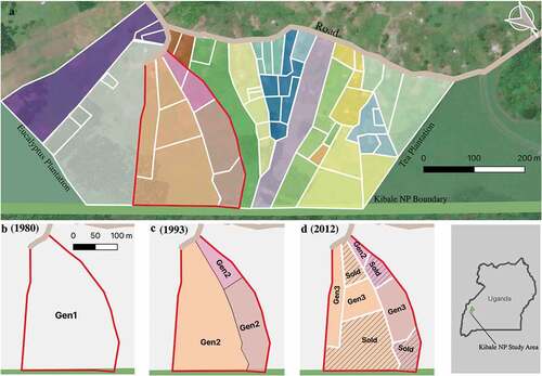 Figure 1. Shrinking parcels in one of Kanyawara’s villages. Unique colors indicate extent of parcels in 1993; white lines indicate parcel boundaries in 2012. Insets highlight changes in one parcel across 3 generations due to inheritance and sales.