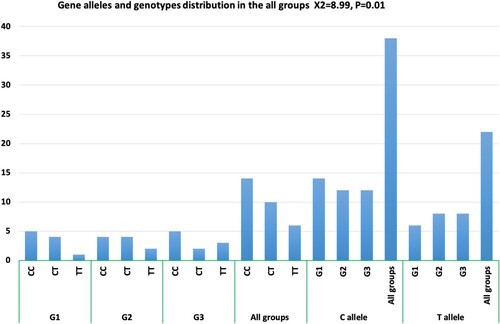 Figure 2. Allele and genotype frequencies for MTHFR C677T polymorphism in G1, G2, G3, and all groups (X2 and p-value).