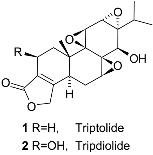 Figure 1.  Structure of triptolide (1) and tripdiolide (2).