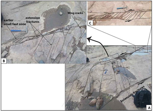 Figure 7. Compound fault zone associated with small fault zone. (A) Compound fault zone with extension fractures. (B) Small fault zone within boundaries of compound fault zone and extension fractures showing wing crack terminations that overprint small fault zone. (C) Another small fault zone with extensions fractures at the tip of the compound fault zone.