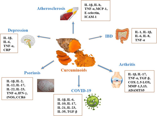 Figure 3 The effect of curcumin on IBD, arthritis, psoriasis, depression and atherosclerosis.