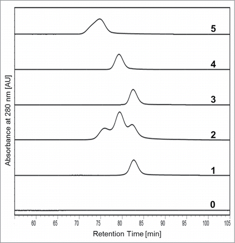 Figure 4. Overlay of the analytical FcRn chromatograms of the five mAb1-derived samples in comparison to placebo buffer. (0) Placebo, (1) mAb1, (2) mAb1_Ox, (3) mAb1_Ox_main peak, (4) mAb1_Ox_prepeak I, (5) mAb1_Ox_prepeak II.