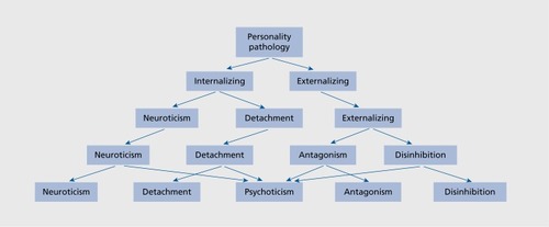 Figure 1. Hierarchy arrangement of pathological personality traits. Adapted from ref 49: Wright AGC, Thomas KM, Hopwood CJ, Markon KE, Pincus AL, Krueger RF. The hierarchical structure of DSM-5 pathological personality traits. J Abn Psychol. 2012;121:951-957. Copyright © American Psychological Association 2005"