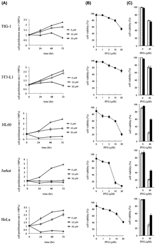 Fig. 1. Antiproliferative effect of PFG against normal cells and cytotoxicity of PFG against tumor cells.