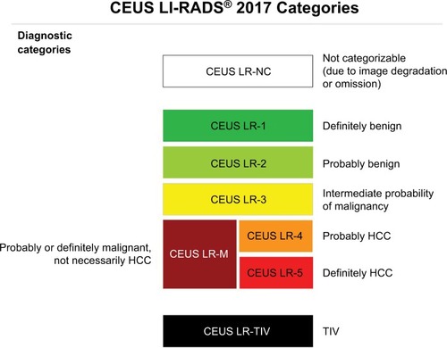 Figure 10 Diagnostic categories for CEUS LI-RADS.
