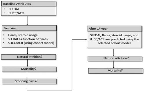 Figure 1. The model structure for SLE patients. Abbreviations. SLEDAI, Systemic Lupus Erythematosus Disease Activity Index; SLICC/ACR, Systemic Lupus International Collaborating Clinics/American College of Rheumatology.