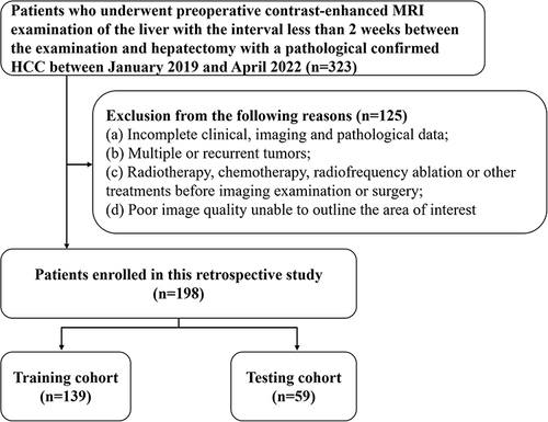 Figure 1 The flowchart of patient selection.