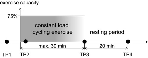 Figure 1 Study design. Time point (TP) 1 and TP2 (5 mins after the start of exercise) were fixed, while constant-load exercise was performed until the subject was exhausted; TP3 was therefore different between individuals (maximum duration 30 mins). The period of rest was always 20 mins following the end of the exercise.