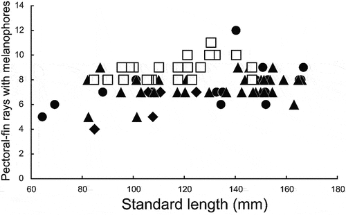 Figure 13. Relationships of number of pectoral-fin rays bearing melanophores to standard length in Dussumieria elopsoides (diamonds), D. hasseltii (circles), D. modakandai (triangles), and D. productissima (squares).