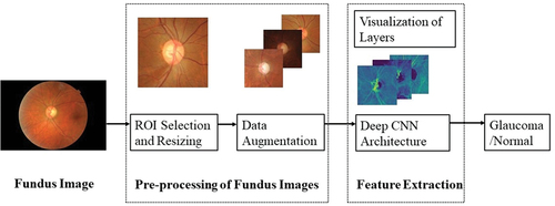 Figure 2. Proposed deep CNN model with visualization of features.