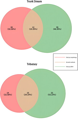 Figure 2. The distribution of macroscopic invertebrate species identified by (morphological) and environmental DNA (eDNA) surveys in the main channel and tributaries of the Dayang River.