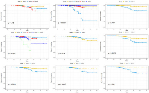 Figure 7 Kaplan–Meier curves for recurrence-free survival rate based on potential risk factors of rLDH related to biomechanical characteristics.