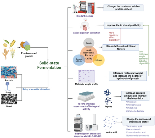 Figure 1. Research on the effect of solid-state fermentation on the plant protein.