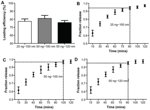 Figure 3 (A) Loading efficiency of CNN2 (connective tissue growth factor) in nanotubes; fraction of total CNN2 released from 100 nm diameter nanotubes filled with (B) 25 ng and (C) 50 ng of CNN2; (D) fraction of total CNN2 released from 120 nm diameter nanotubes filled with 50 ng of CNN2.Notes: The marked time point on each graph indicates when maximum protein has been released, after which the amount of additional drug eluted was negligible. Concentrations at these time points are significantly different from those at time points before (P < 0.05), but were not significantly different from the time points after; n = 3.