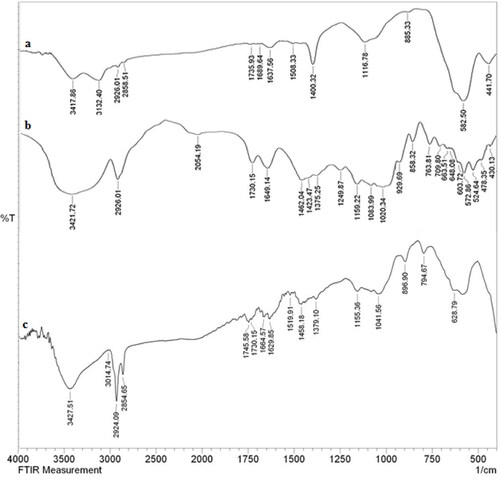 Figure 1. FT-IR spectra of a) Fe3O4, b) Starch, and c) Fe3O4@starch/Cu.