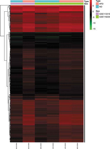 Figure 2. Heatmap of 1,249 DE mRNAs screened using the limma package in R. Red areas represent upregulated genes and green areas represent downregulated genes in BAT from mice fed an HFD compared with mice fed an ND. DE mRNA: differentially expressed mRNA; HFD: high-fat diet; ND: normal diet; BAT: brown adipose tissue