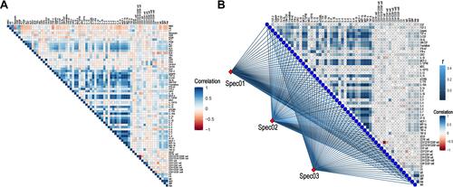 Figure 3 The correlation heatmap analysis of the relationship among cytokines and clinical factors. (A) The association analysis among all cytokines and clinical factors. (B) The Mantel test for the association analysis among all cytokines and lymphocytes. The factors of blood routine, biochemical routine and tumor markers were classified as spec01, spec02 and spec03, respectively.