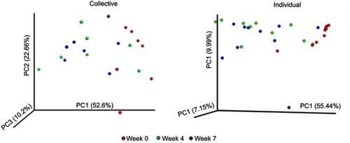 Figure 8 Principal-coordinate analysis (PCoA) showing the variation of microbiomes at time points as determined using the Bray–Curtis diversity calculator. Each colored symbol corresponds to an individual sample. The variation represented by each axis (PC1, PC2, or PC3) is shown in parentheses. (A) Collective samples (PGM) and (B) individual samples (MiSeq).