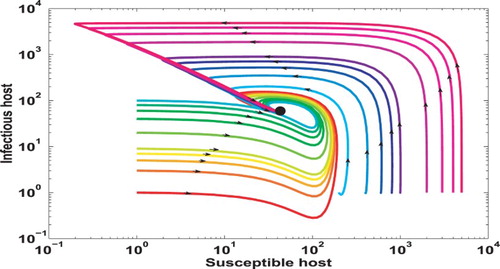 Figure 3. Numerical verification of the global stability of the EE associated with the coupled system (Equation1(1) dSdt=μN−βH(Z)SI−βLSBκ+B−μS+σR,dIdt=βH(Z)SI+βLSBκ+B−(γ+μ)I,dRdt=γI−(μ+σ)R,(1) )–(Equation3(3) dZdt=1ϵ(u(B)+v(Z)−ζZ),(3) ) when T1>1. This figure plots the phase portrait on S–I plane. It shows that all the trajectories with biologically meaningful initial conditions converge to the EE (displayed in the black dot).