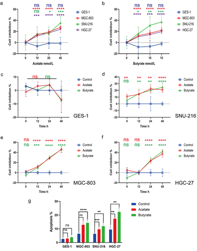 Figure 3. (a-b) Proliferation in control GES-1 cells and GC MGC-803, HGC-27, and SNU-216 cells after treatment with varying concentrations of Ac (0, 10, 20, 40 mmol/L) and Bu (0, 5, 10, 15 mmol/L). (c-f) Proliferation in control GES-1 cells and GC cells at 0, 12, 24, and 48 hours of treatment with 10 mM Ac or 5 mM Bu. (g) Apoptosis in cells treated with 10 mM Ac or 5 mM Bu. Data indicate the mean ± SD. *p < .05, **p < .01, and ***p < .001, by 2-tailed Student’s t test or one-way ANOVA.