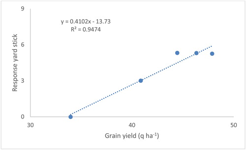 Figure 3. Relationship between grain yield and response yard stick.