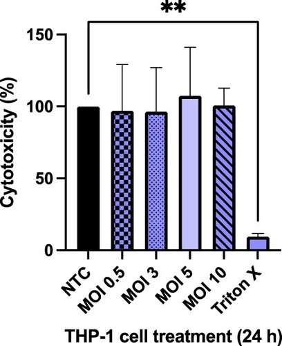 Figure 3. Cytotoxic effect of different MOIs of M. smeg mc2155 infection on differentiated THP-1 cells over 24 h, determined by the MTT assay. Results are mean ± SD of three independent determinations. NTC = no treatment control, 0.1% Triton-X-100 was the positive control. Statistical Analysis was performed using Graph Pad Prism 9.3.1. One-way ANOVA using Dunnett’s multiple comparison test, where **p < 0.01.