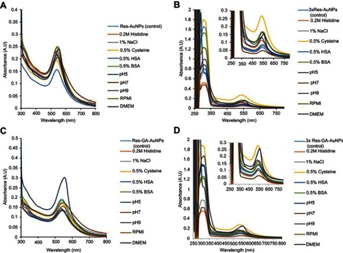 Figure 8 In vitro stability study of (A) Res-AuNPs, (B) 3× Res-AuNPs (insert, magnified plasmon peak), (C) Res-GA-AuNPs, and (D) 3×Res-GA-AuNPs (insert, magnified plasmon peak) in different biological media after 24 hours.Abbreviations: Res, resveratrol; AuNPs, gold nanoparticles; GA, gum arabic.