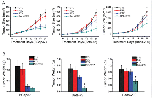 Figure 5. Raloxifene sensitizes resistance of MDR cell lines to paclitaxel in vivo. Nude mice bearing Bcap37, Bats-72 and Bads-200 tumors were treated with raloxifene, paclitaxel and their combination in indicated doses. Tumor size (A) and tumor weight (B) were measured and calculated as described in materials and methods. Data are presented as mean ± standard error based on 12 mice for each group in 2 independent experiments. *P < 0.05 vs. PTX.