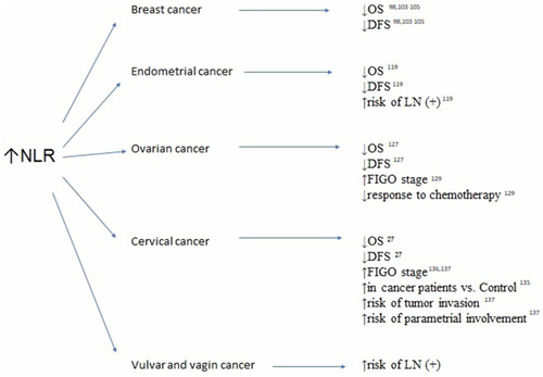 Figure 1 Association between elevated neutrophil-to-lymphocyte ratio (NRL), survivals and clinicopathological features in breast, endometrial, ovarian, cervical, vulvar and vaginal cancers.
