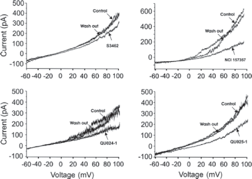 Figure 2. Pannexin voltage–activated current is differently inhibited by mefloquine from different sources and different diastereomers. (A–D) Representative traces of 10-s voltage ramps from the holding potential of −60 to +100 mV applied in Neuro2A cells in whole-cell patch clamp configuration. (A) 100 μM of (±)-erythro-(R*/S*)-mefloquine (Sigma S3462) was perfused during the voltage protocol and washed out after maximal inhibition was achieved. (B) 100 nM (±)-erythro-(R*/S*)-mefloquine (NSC 157357) was perfused and then washed out. (C) 100 nM of (±)-erythro-(R*/S*)-mefloquine (Bioblocks QU024-1) was perfused during the voltage protocol and washed out. (D) 1 μM (−)-threo-(11R/2R)-mefloquine (Bioblocks QU025-1) was perfused and washed out. Note that the drug concentration necessary to inhibit Panx1-GFP currents is higher for QU025-1 and S3462 compared with NSC157357 and QU024-1.