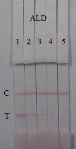 Figure 6. Colloidal gold immunochromatography assay for ALD in PBS (pH 7.4). ALD concentration: 1 = 0 ng/mL, 2 = 2.5 ng/mL, 3 = 5 ng/mL, 4 = 10 ng/mL, and 5 = 25 ng/mL. ALD, aldicarb; C, control line; T, test line.