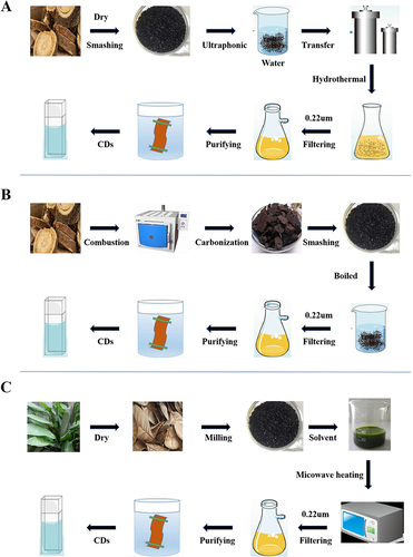 Figure 1 Preparation methods of HM-CDs. (A) hydrothermal synthesis process; (B) pyrolysis synthesis process; (C) microwave carbonization synthesis process.